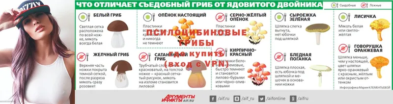 хочу   Константиновск  hydra   Псилоцибиновые грибы Psilocybine cubensis 